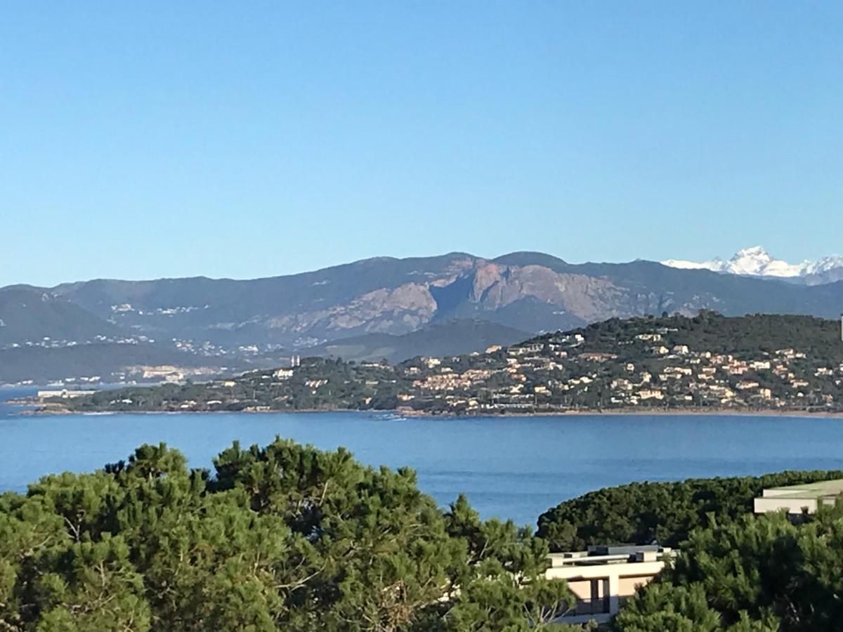 Superbe Appartement T3 Face Mer Baie Ajaccio Pietrosella Eksteriør bilde